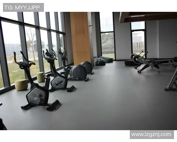 苏州森度健身器材品牌的介绍与优势